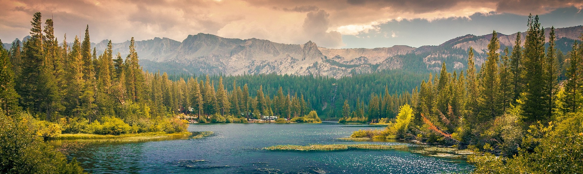 Positiewinkels België
